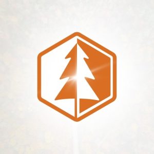 Teen Summer Camp at CoBeAc